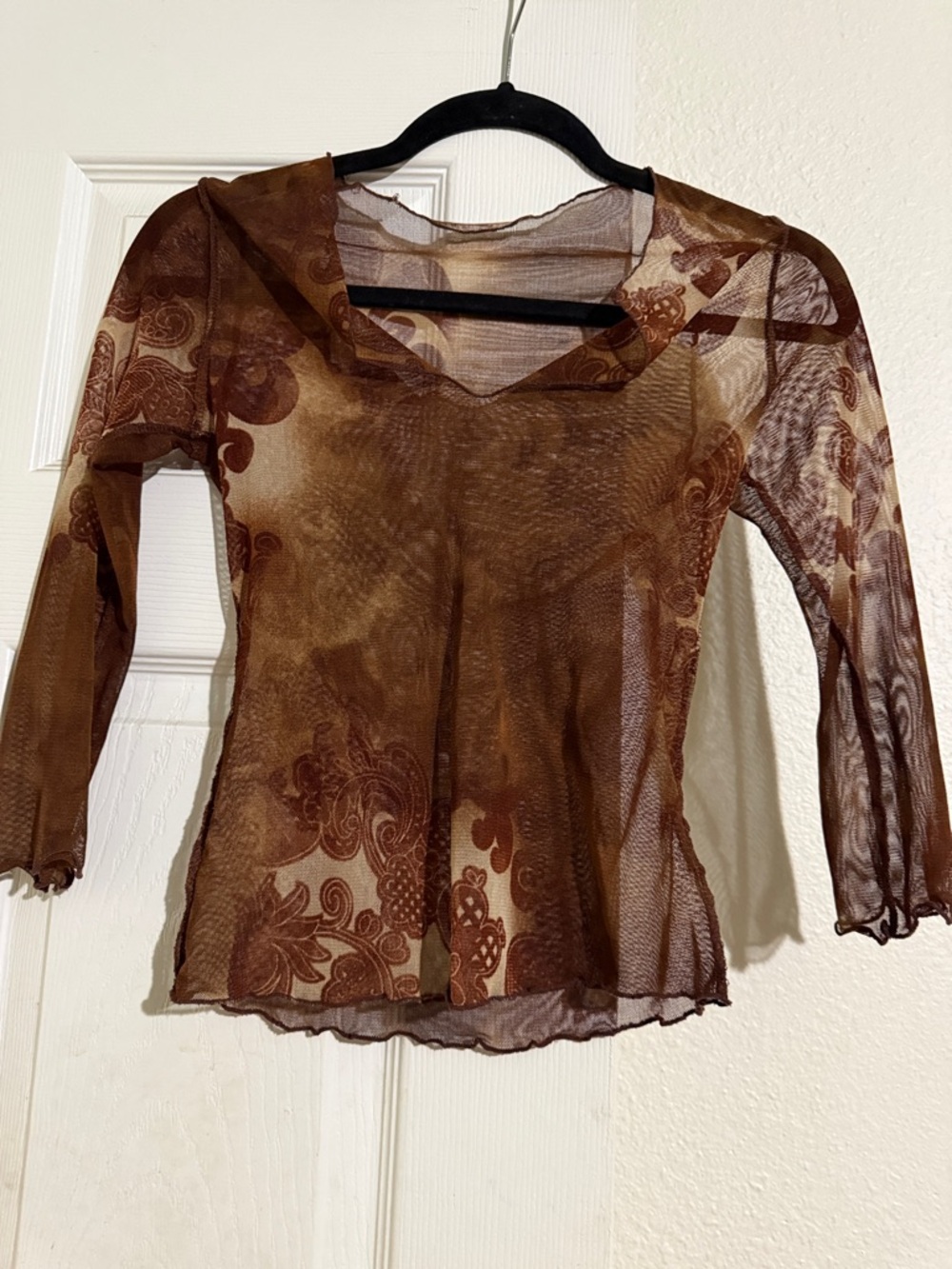 Sheer Paisley Long-Sleeve Mesh Top in Brown